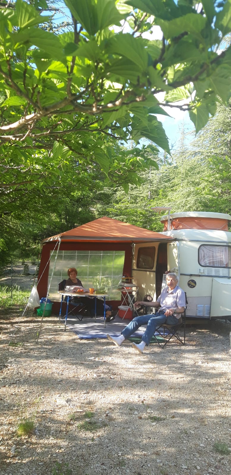 Camping Le Pré des Arbres — photo 5